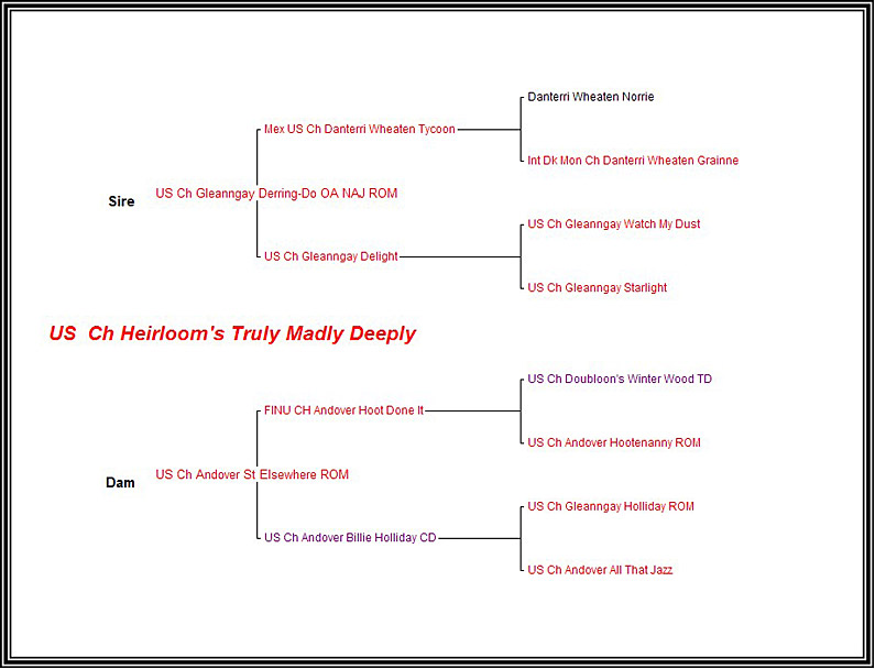 Pedigree CH Heirloom Truly Madly Deeply